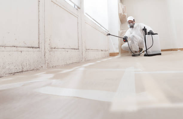 24/7 Emergency Mold Remediation experts in Lebanon, VA