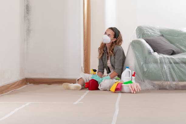 Reliable Mold Remediation contractor in Lebanon, VA by 24 Hour Mold Removal